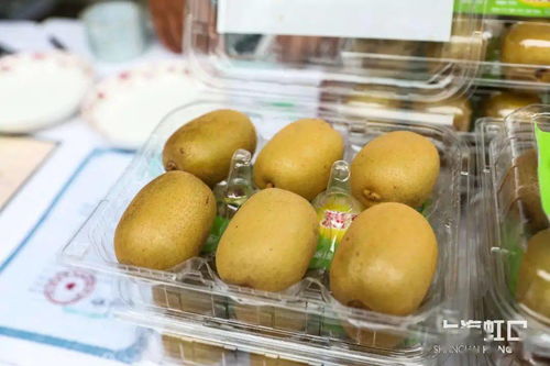 助力脫貧攻堅，品味地道風物——魯迅公園特色農產品直銷活動正式啟動