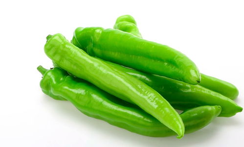 美菜網 以服務筑基，以品質求存，深耕初級農產品市場